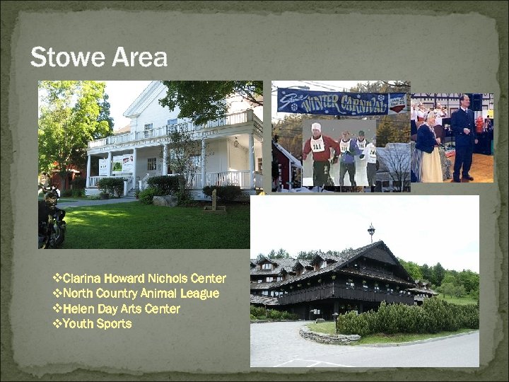 Stowe Area v. Clarina Howard Nichols Center v. North Country Animal League v. Helen