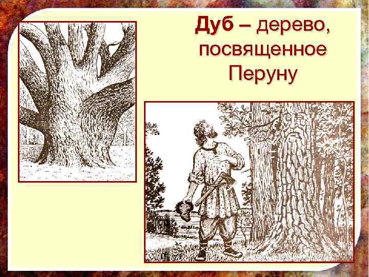 Дуб – дерево, посвященное Перуну 