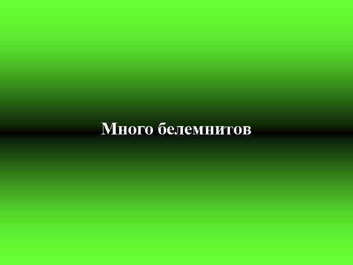 Много белемнитов 