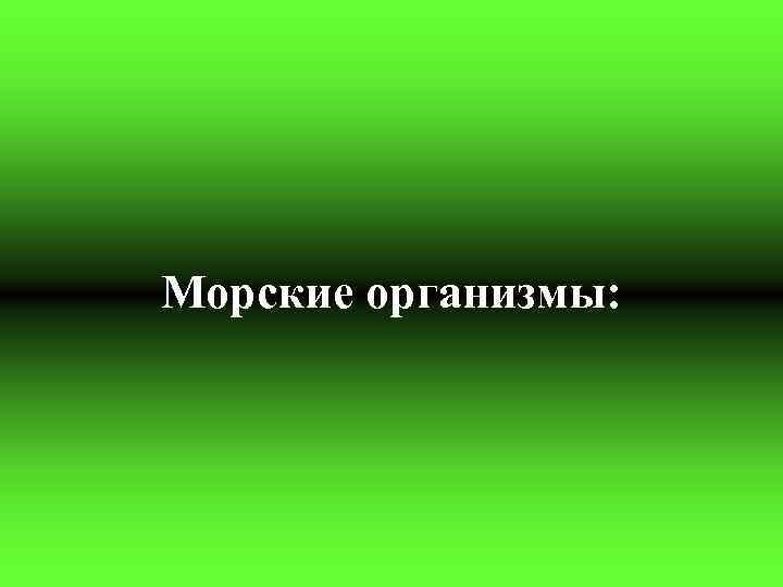 Морские организмы: 
