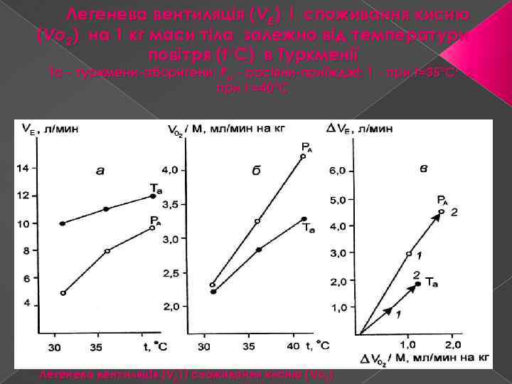 Легенева вентиляція (VE) і споживання кисню (Vo 2) на 1 кг маси тіла залежно