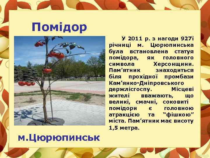 Помідор У 2011 р. з нагоди 927ї річниці м. Цюрюпинська була встановлена статуя помідора,