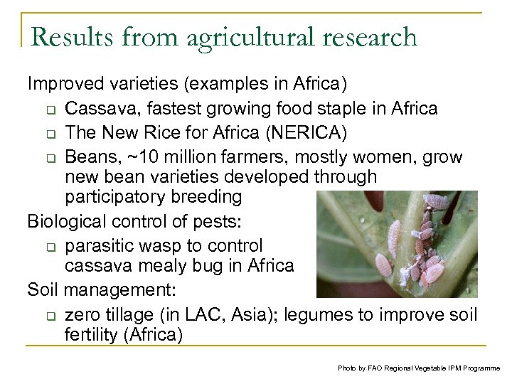 Results from agricultural research Improved varieties (examples in Africa) q Cassava, fastest growing food