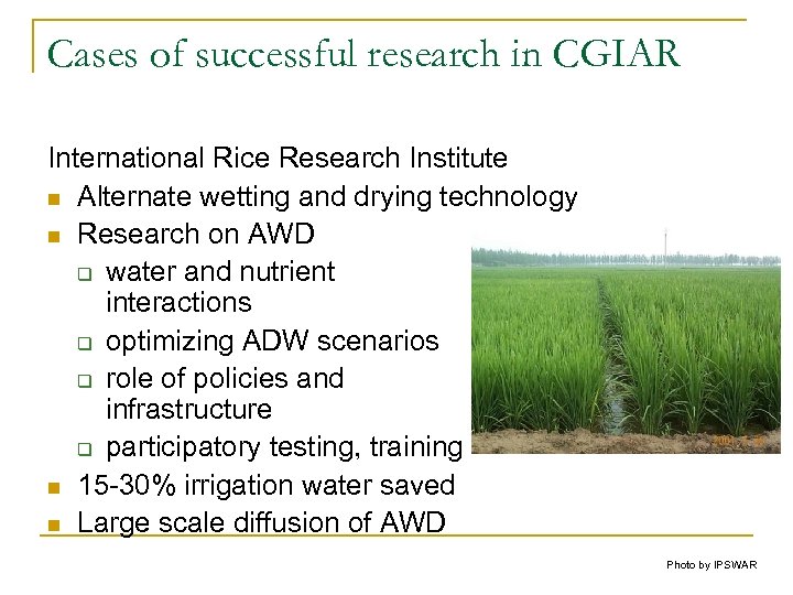 Cases of successful research in CGIAR International Rice Research Institute n Alternate wetting and