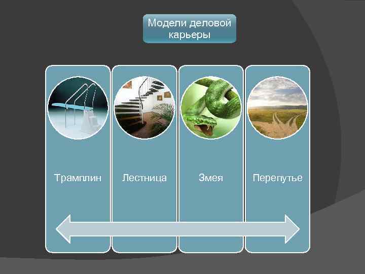 Модели деловой карьеры Трамплин Лестница Змея Перепутье 