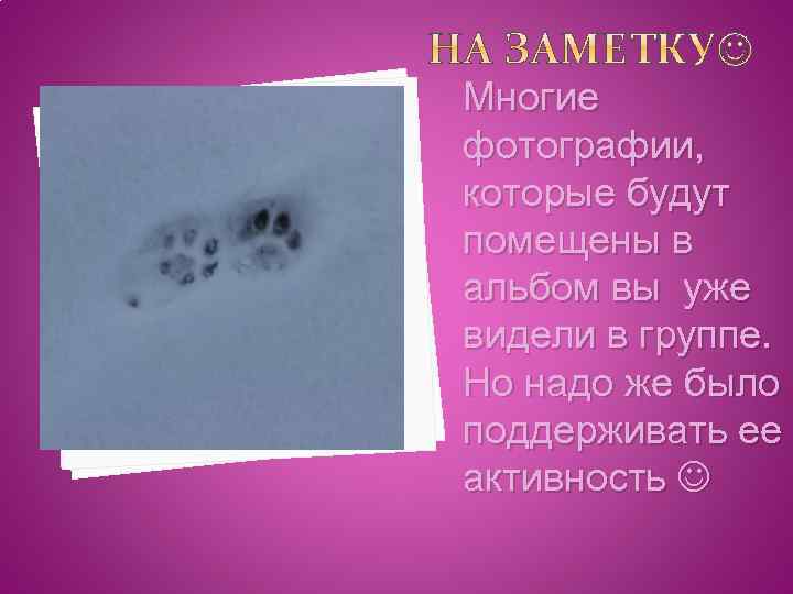 Многие фотографии, которые будут помещены в альбом вы уже видели в группе. Но надо