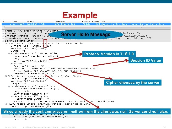 Server Hello Message Protocol Version is TLS 1. 0 Session ID Value Cipher chooses