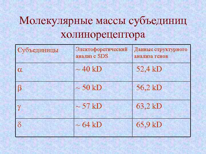 Молекулярные массы субъединиц холинорецептора Субъединицы Электофоретический анализ с SDS Данные структурного анализа генов a