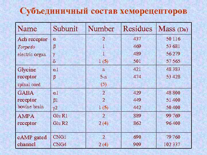 Субъединичный состав хеморецепторов Name Subunit Ach receptor a Number Residues Mass (Da) 2 1