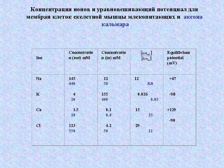  Концентрация ионов и уравновешивающий потенциал для мембран клеток скелетной мышцы млекопитающих и аксона