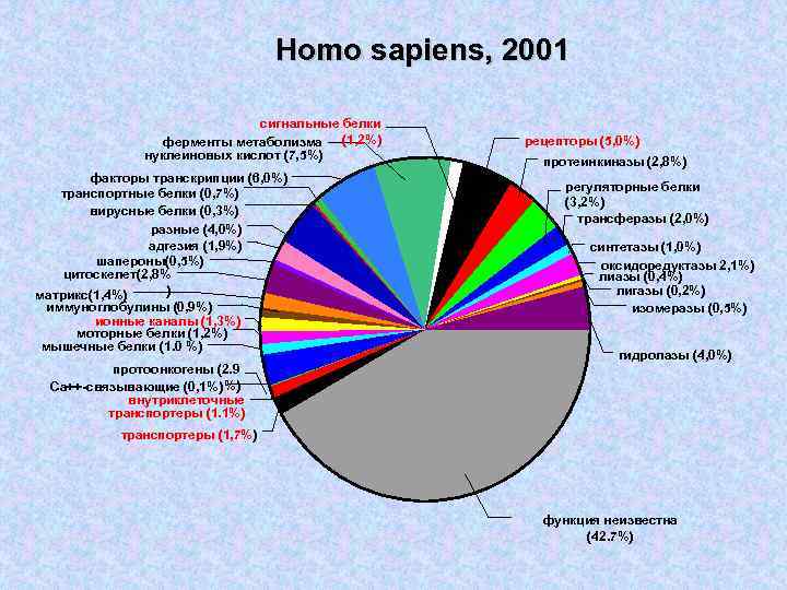 Homo sapiens, 2001 сигнальные белки (1, 2%) ферменты метаболизма нуклеиновых кислот (7, 5%) факторы