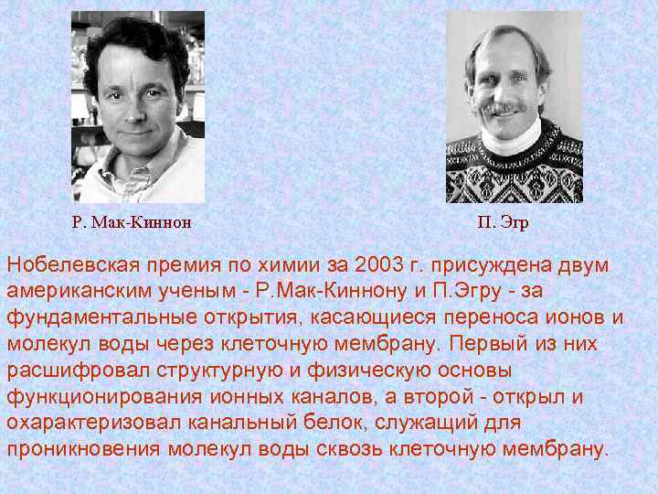 Р. Мак-Киннон П. Эгр Нобелевская премия по химии за 2003 г. присуждена двум американским