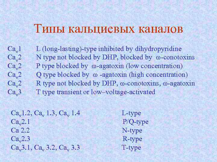Типы кальциевых каналов Cav 1 L (long-lasting)-type inhibited by dihydropyridine Cav 2 N type