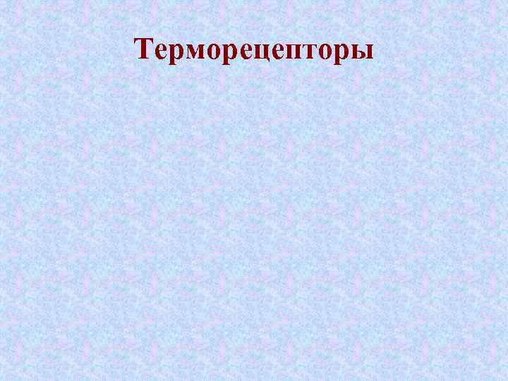 Терморецепторы 
