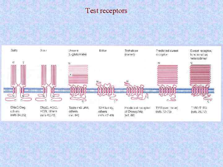 Test receptors 