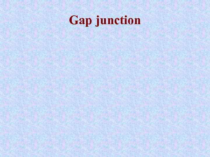 Gap junction 