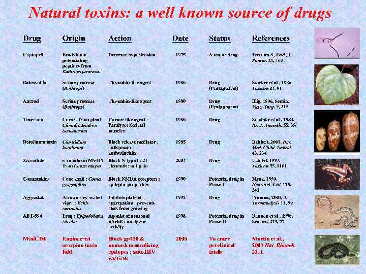 Natural toxins: a well known source of drugs 