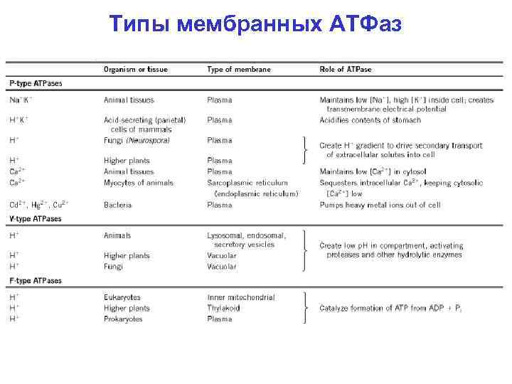 Типы мембранных АТФаз 