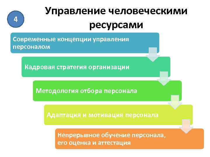 4 Управление человеческими ресурсами Современные концепции управления персоналом Кадровая стратегия организации Методология отбора персонала