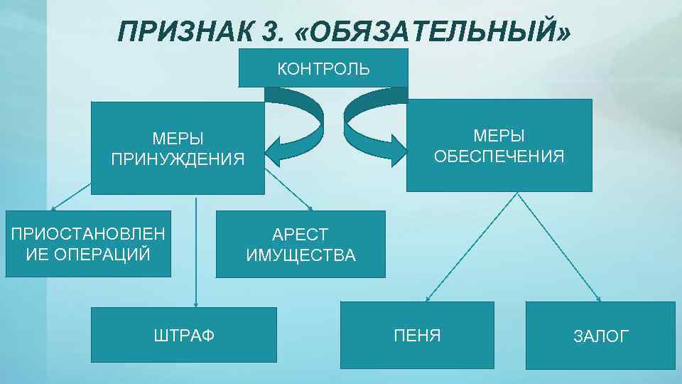 ПРИЗНАК 3. «ОБЯЗАТЕЛЬНЫЙ» КОНТРОЛЬ МЕРЫ ОБЕСПЕЧЕНИЯ МЕРЫ ПРИНУЖДЕНИЯ ПРИОСТАНОВЛЕН ИЕ ОПЕРАЦИЙ ШТРАФ АРЕСТ ИМУЩЕСТВА