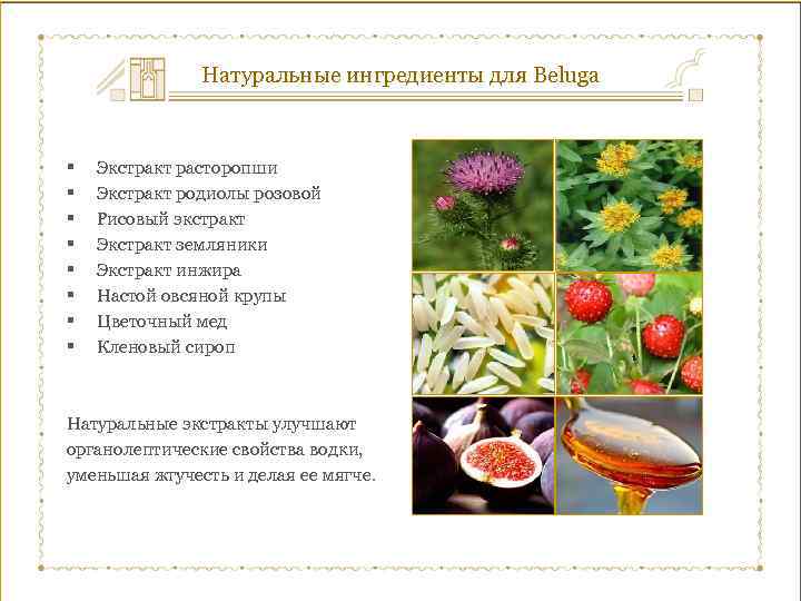 Натуральные ингредиенты для Beluga § § § § Экстракт расторопши Экстракт родиолы розовой Рисовый