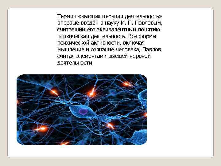 Термин «высшая нервная деятельность» впервые введён в науку И. П. Павловым, считавшим его эквивалентным