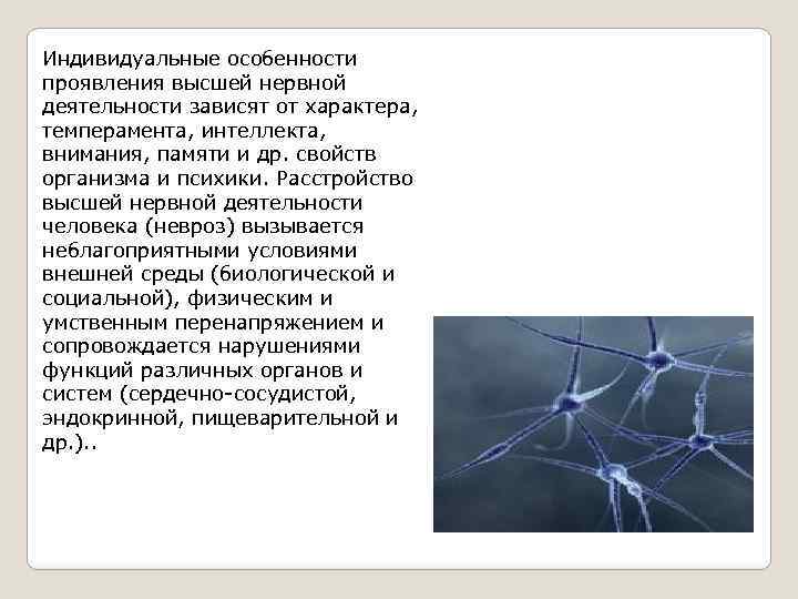 Индивидуальные особенности проявления высшей нервной деятельности зависят от характера, темперамента, интеллекта, внимания, памяти и