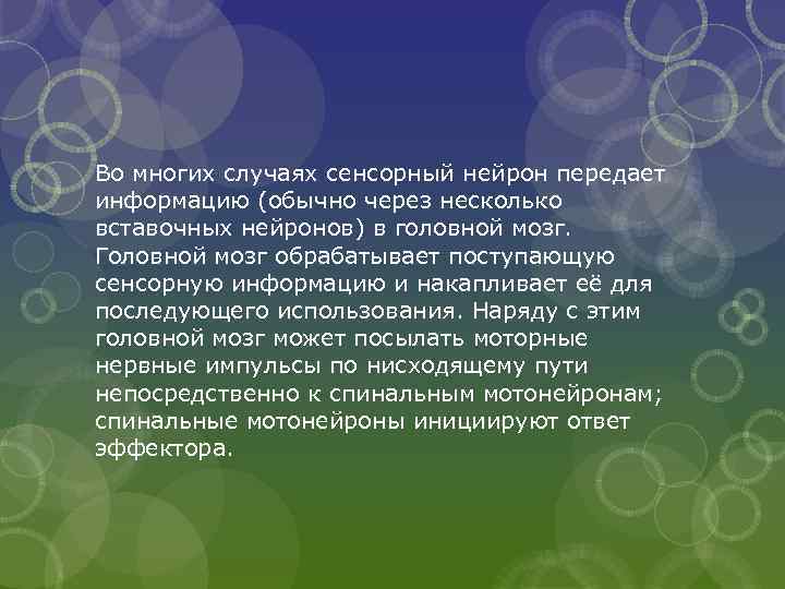 Во многих случаях сенсорный нейрон передает информацию (обычно через несколько вставочных нейронов) в головной