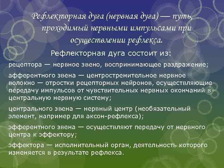 Рефлекторная дуга (нервная дуга) — путь, проходимый нервными импульсами при осуществлении рефлекса. Рефлекторная дуга