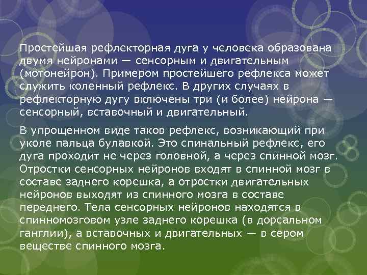 Простейшая рефлекторная дуга у человека образована двумя нейронами — сенсорным и двигательным (мотонейрон). Примером