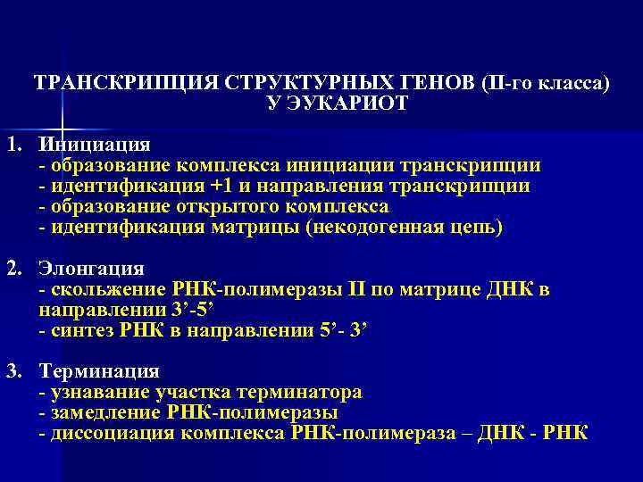 ТРАНСКРИПЦИЯ СТРУКТУРНЫХ ГЕНОВ (II-го класса) У ЭУКАРИОТ 1. Инициация - образование комплекса инициации транскрипции
