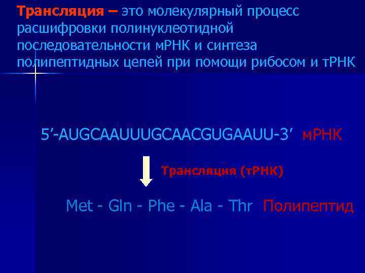 Трансляция – это молекулярный процесс расшифровки полинуклеотидной последовательности м. РНК и синтеза полипептидных цепей