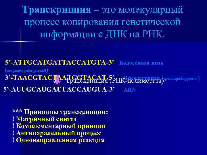 Транскрипция – это молекулярный процесс копирования генетической информации с ДНК на РНК. 5’-ATTGCATGATTACCATGTA-3’ Кодогенная