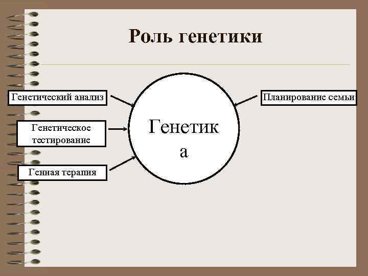 Роль генетики Генетический анализ Генетическое тестирование Генная терапия Планирование семьи Генетик а 