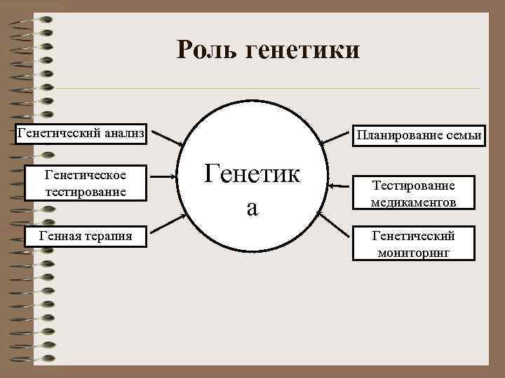 Роль генетики Генетический анализ Генетическое тестирование Генная терапия Планирование семьи Генетик а Тестирование медикаментов