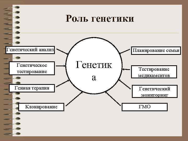 Роль генетики Генетический анализ Генетическое тестирование Генная терапия Клонирование Планирование семьи Генетик а Тестирование