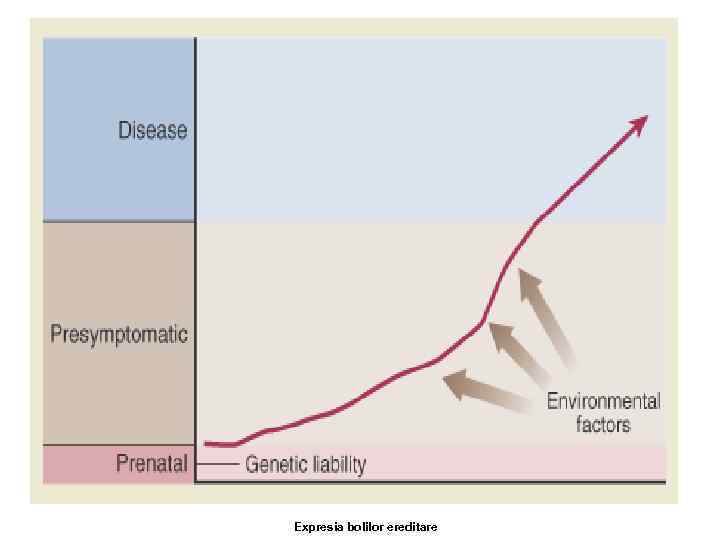 Expresia bolilor ereditare 