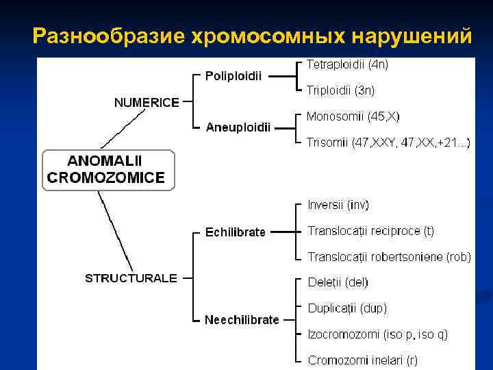 Разнообразие хромосомных нарушений 