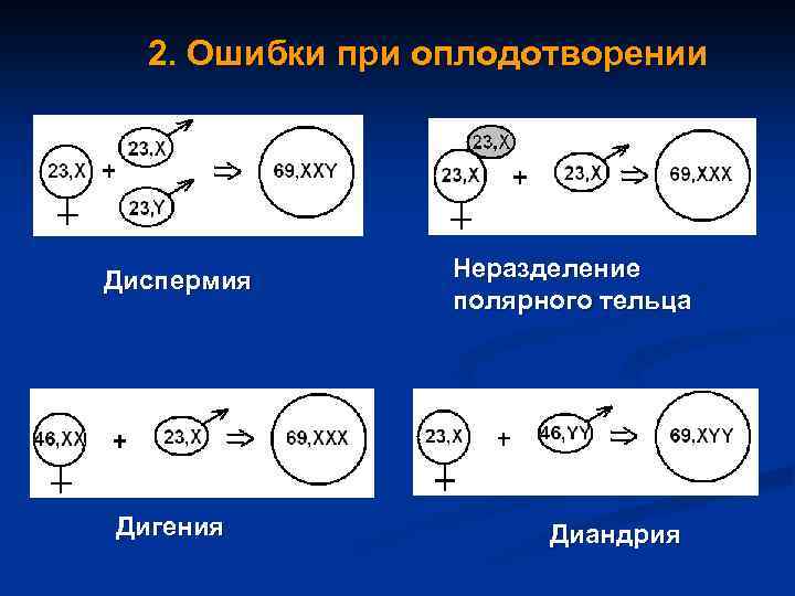 2. Ошибки при оплодотворении Диспермия Дигения Неразделение полярного тельца Диандрия 