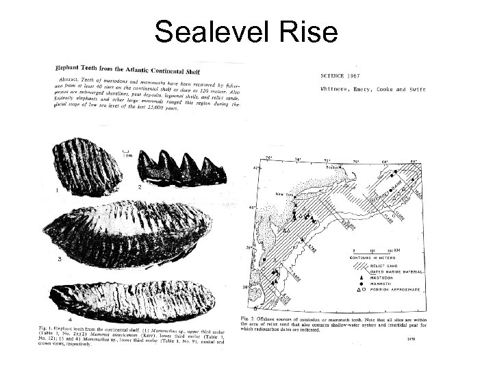 Sealevel Rise 