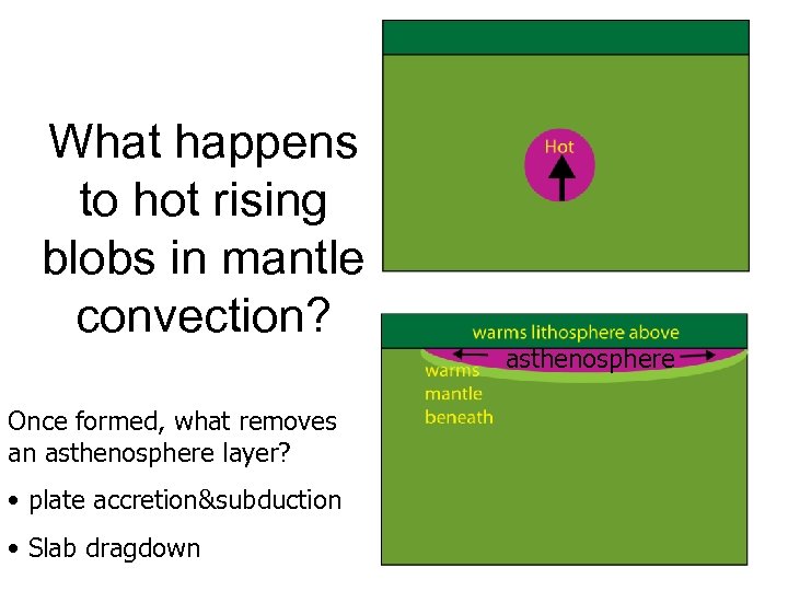 What happens to hot rising blobs in mantle convection? Once formed, what removes an