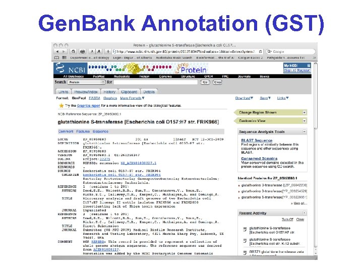 Gen. Bank Annotation (GST) 