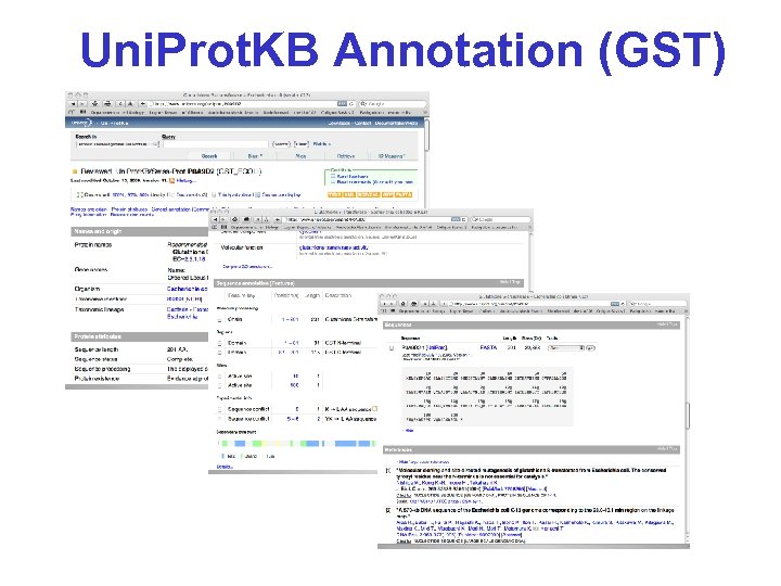 Uni. Prot. KB Annotation (GST) 