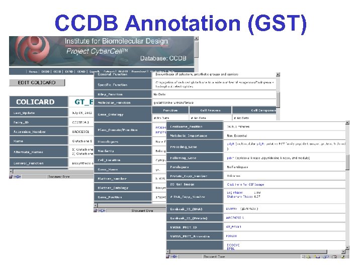 CCDB Annotation (GST) 