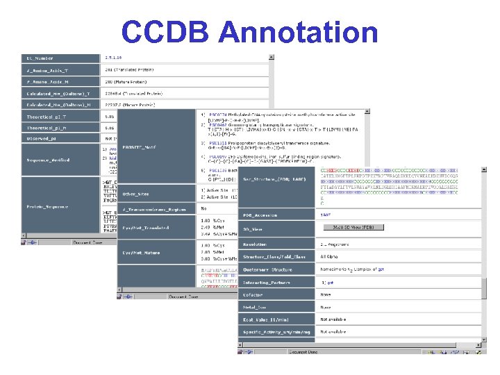 CCDB Annotation 