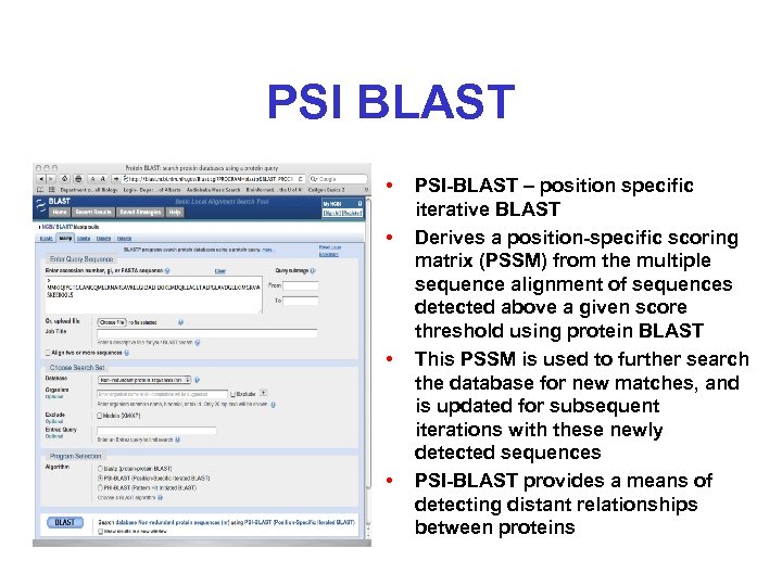 PSI BLAST • • PSI-BLAST – position specific iterative BLAST Derives a position-specific scoring