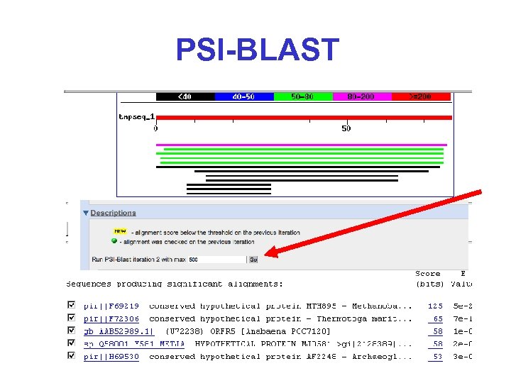 PSI-BLAST 