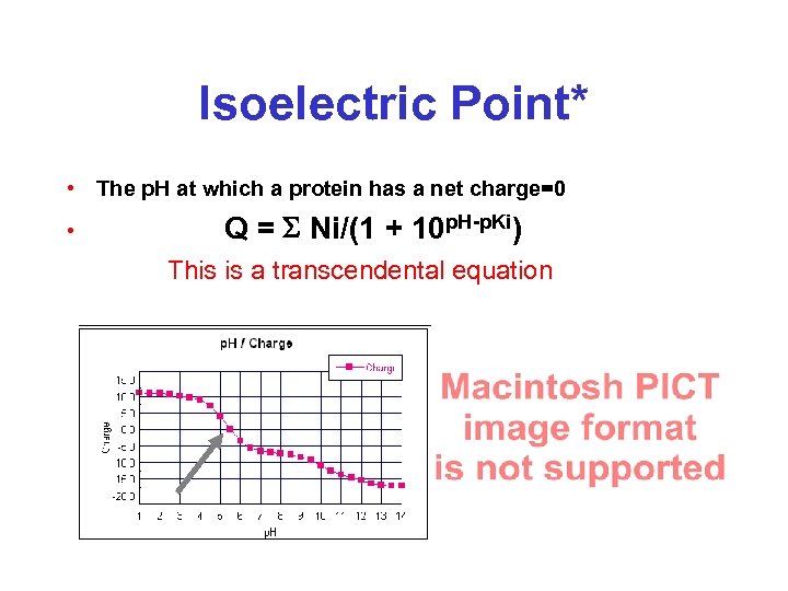 Isoelectric Point* • The p. H at which a protein has a net charge=0