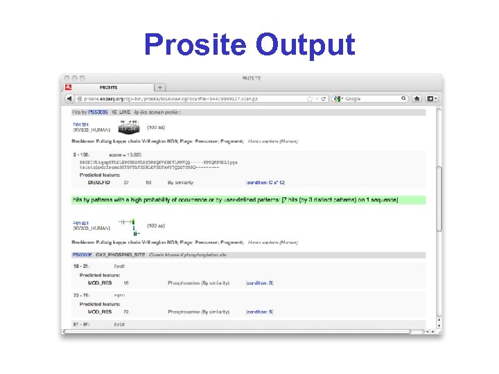 Prosite Output 