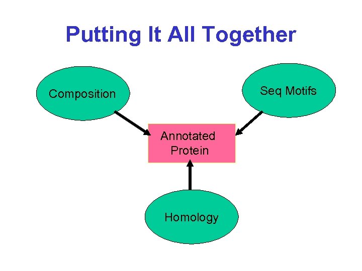 Putting It All Together Seq Motifs Composition Annotated Protein Homology 